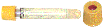 serum gel