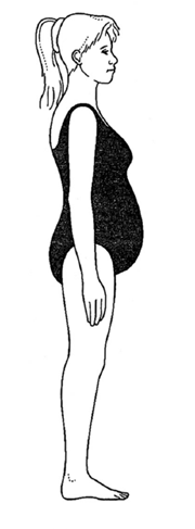 a diagram of a pregnant woman