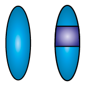 Image showing an individual carrier