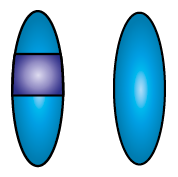 Image showing an individual carrier