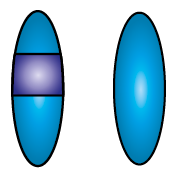 Image showing an individual carrier