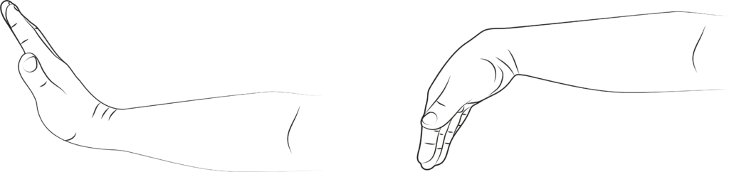 Illustrations showing the finger and wrist flexion and extension exercise.