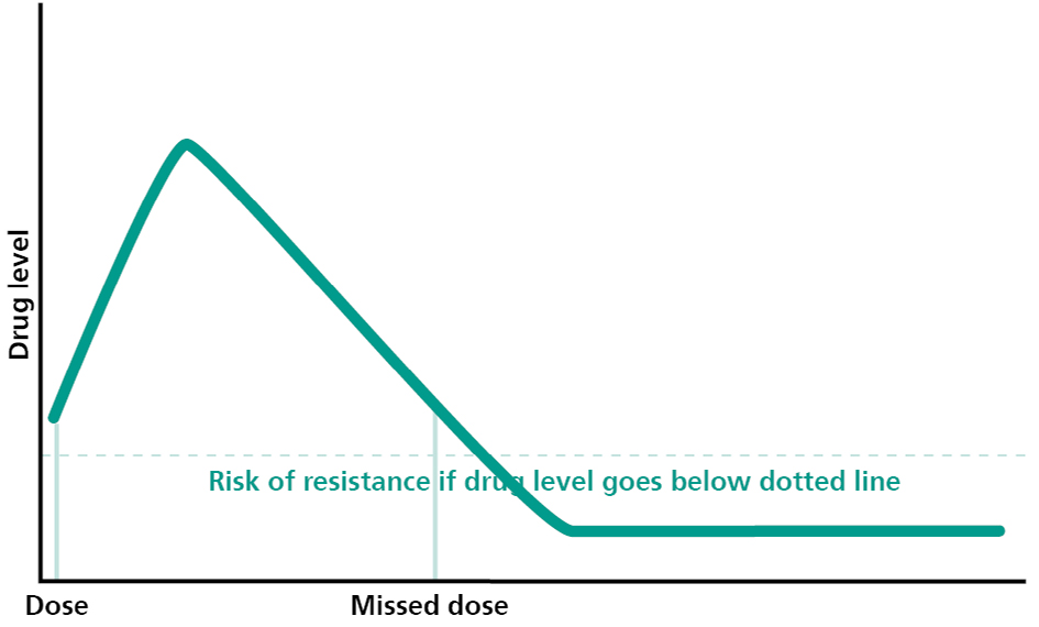 graph showing the rise after dosage in drug level and then decline from a missed dose
