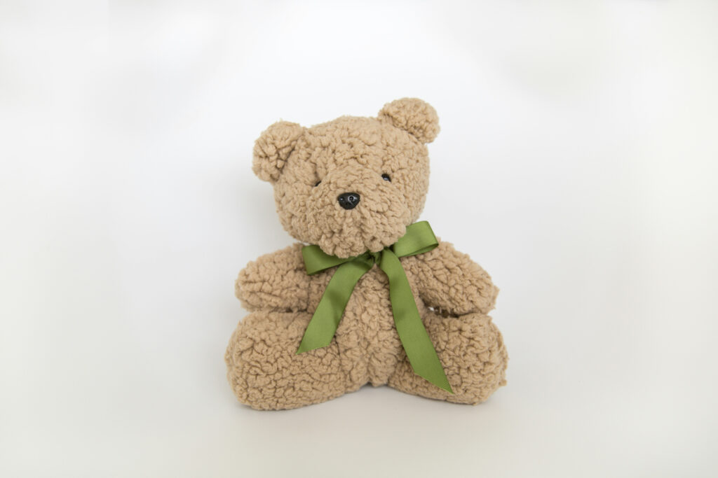 Photograph of a teddy. Photo by Izabelly Marques on Unsplash.