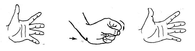 Drawing of three steps of hand and wrist exercises. A hand outstreatched, a hand in a fist with arrows showing movement of the wrist and a hand outstreatched again