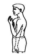 Illustration of a person with stood with their arm straight and bent at the elbow raised to the front