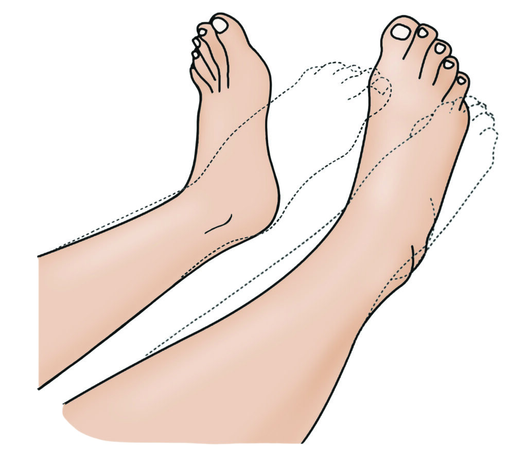 Illustration of the ankles and feet raised and outlined to show movement of the feet stretched out