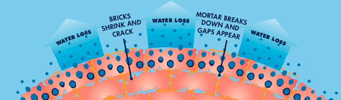 Illustration showing the skins reaction to irritants.