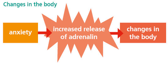 This image shows how when we become anxious, we have an increase of adrenalin and changes happen in our body.