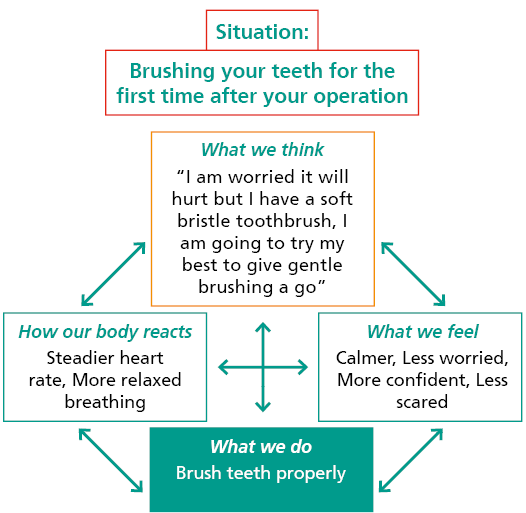 This image shows you are still worried about brushing your teeth after the operation but you have a soft bristle toothbrush and want to try your best to have a go. 
You are calmer and your body reacts with a steadier heart rate and your breathing is more relaxed.
You find you are able to brush your teeth properly and you feel calmer, more confident, less worried and scared.
Your body reacts to this by a steadier heart rate and relaxed breathing and you can continue to brush your teeth. 