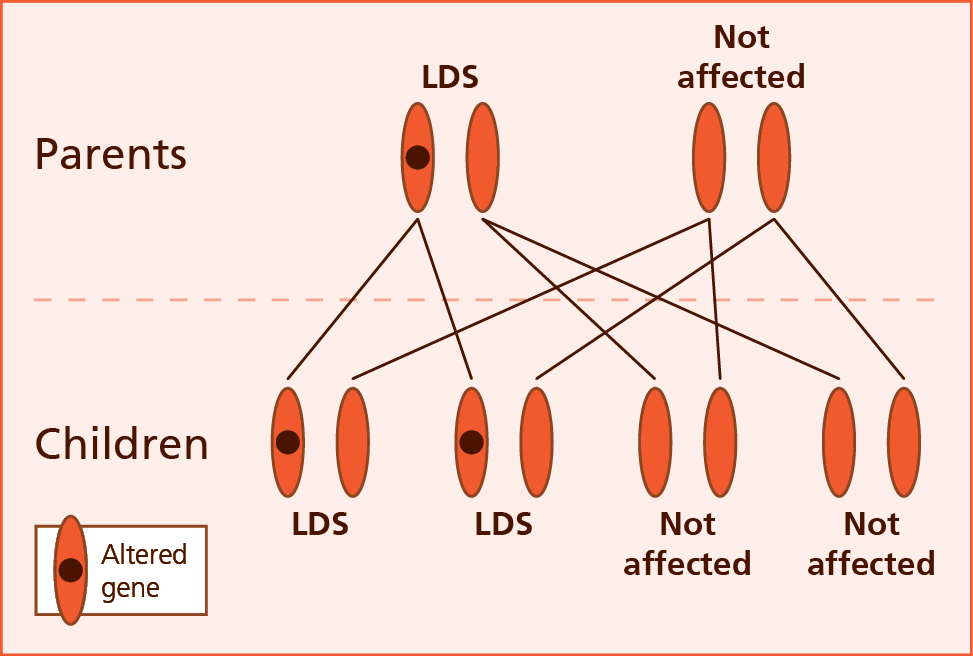 Illustration of dominant inheritance.