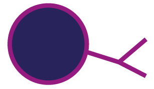 This picture shows changing the cell to become a CAR T-call