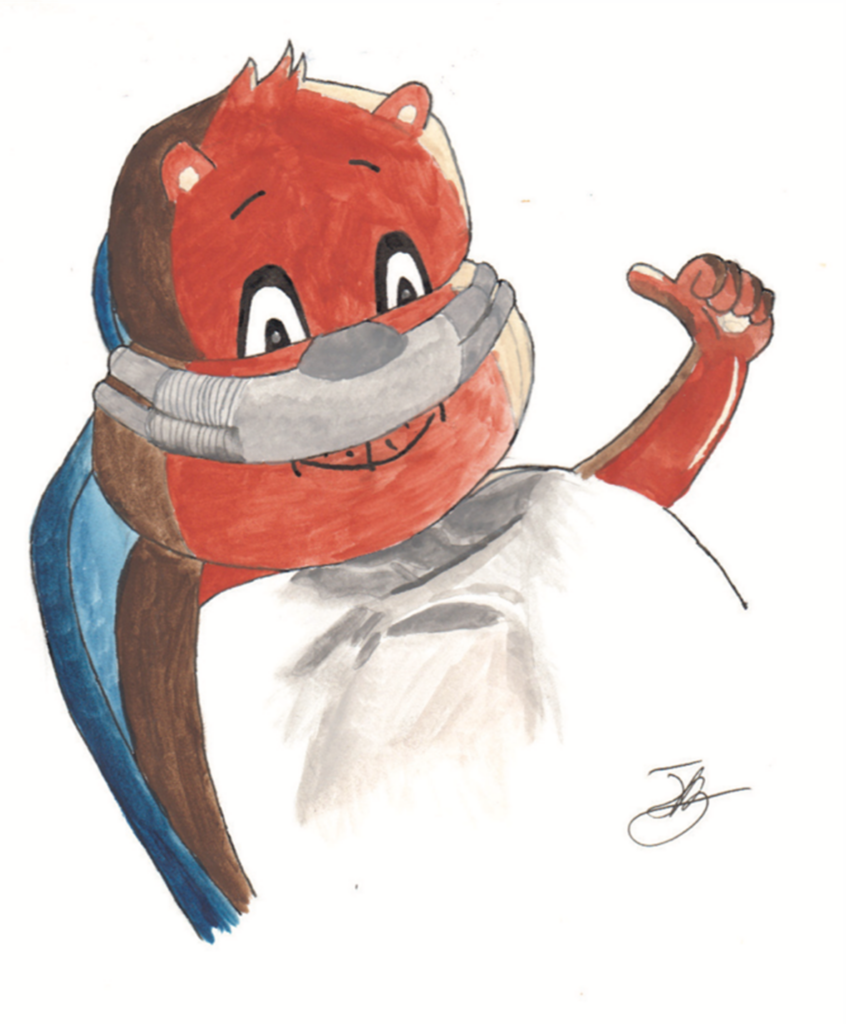 This picture shows Fluffy wearing the mask over his nose, he is happy with it and giving a thumbs up