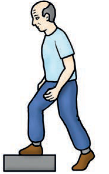 Illustration showing a person stepping up and down