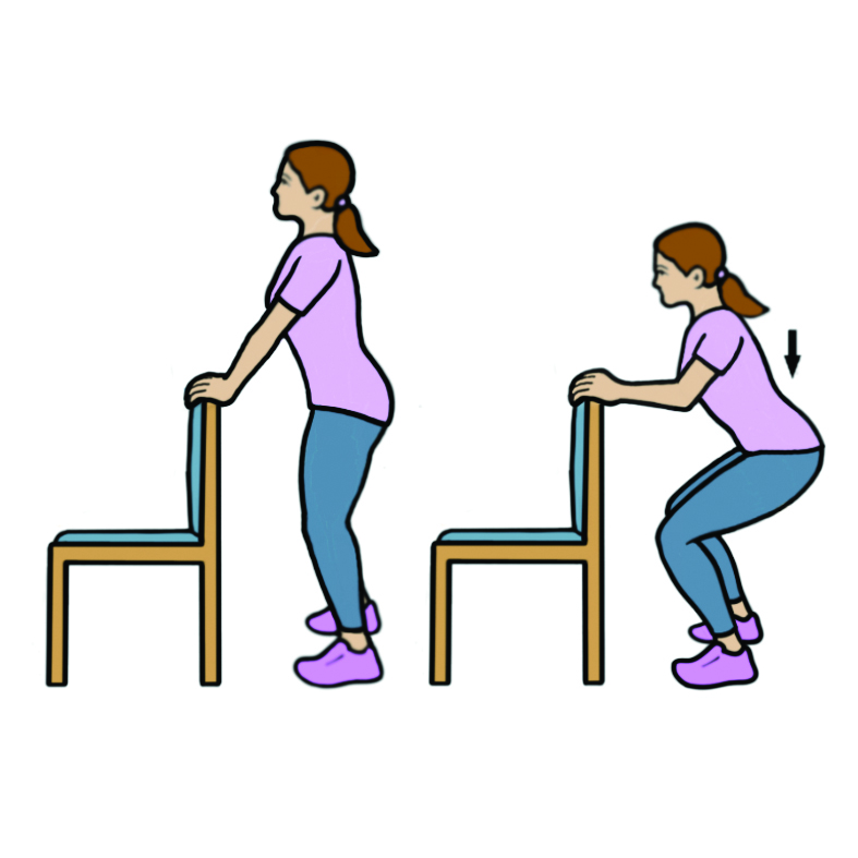 Image showing the Easy (Level 1) 'Squats' exercise.