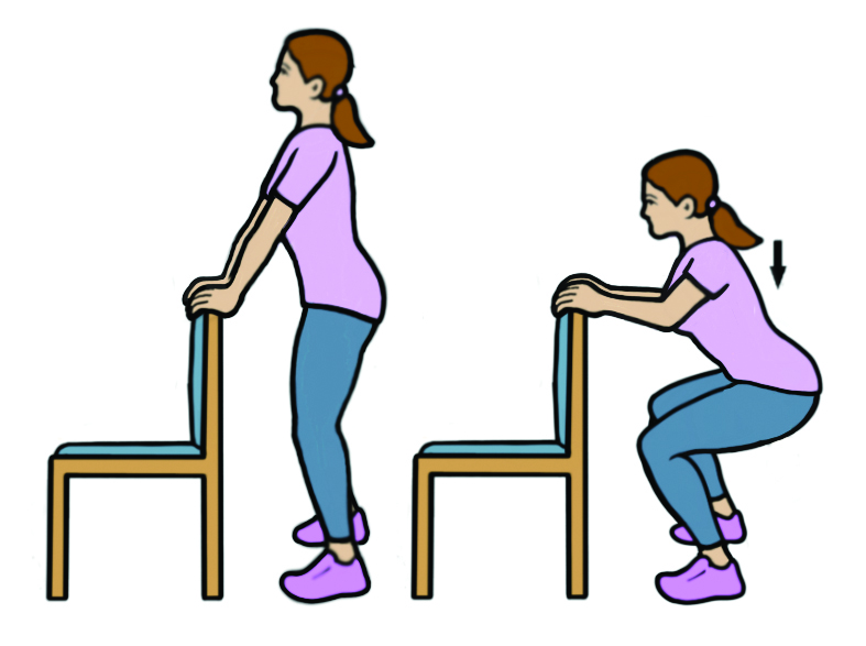 Image showing the Moderate (Level 2) 'Squats' exercise.