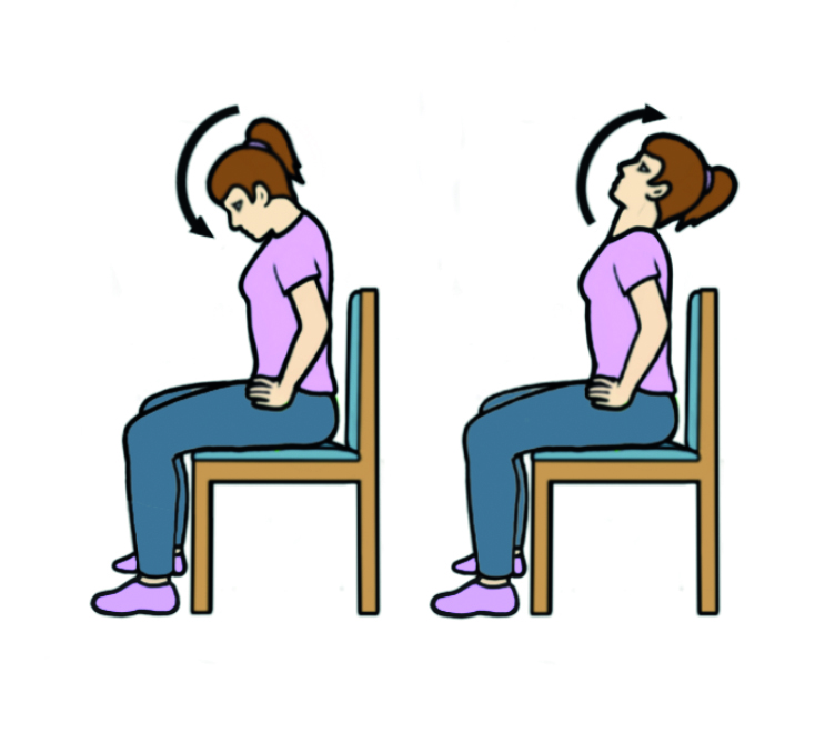 Image showing the 'neck to chest' exercise.