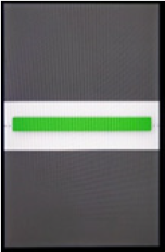 Image of the coaching screen with green bar.