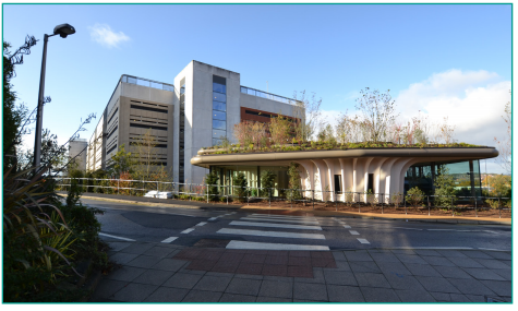 Bexley Route Outside (J46 or J47) - Cross at the zebra crossing straight ahead.