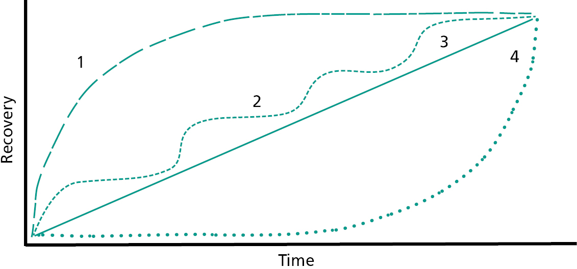 This diagram shows example paths to recovery.