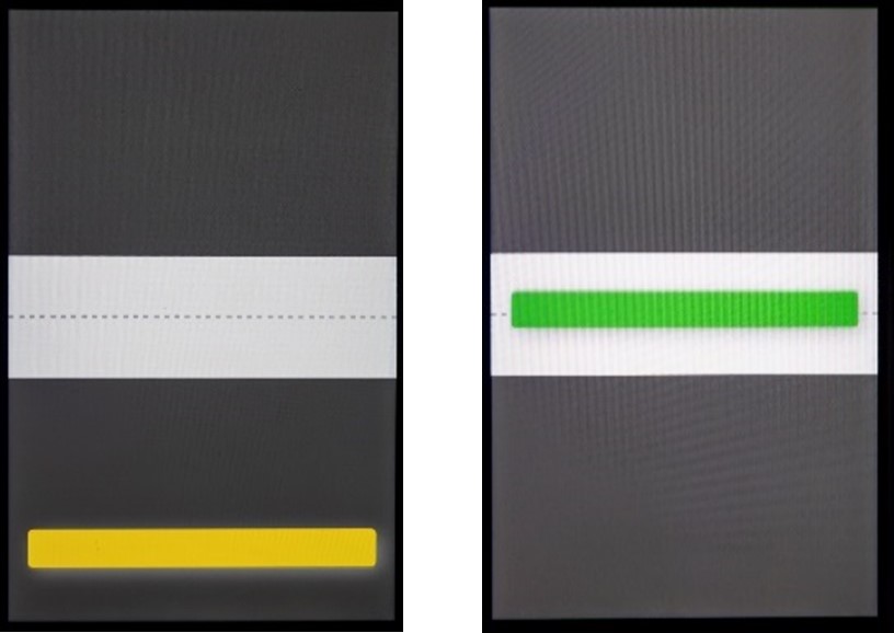 An image showing the coaching screen used to achieve a consistent breath.