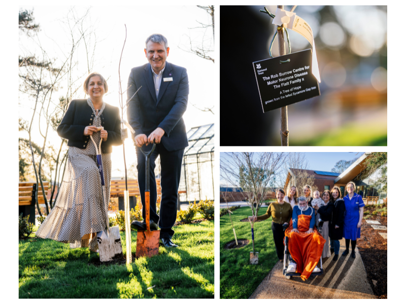 Three photo collage, one with Dr Jung and Paul from Leeds Hospitals Charity. One with the tree plaque and a group photo holding a spade.