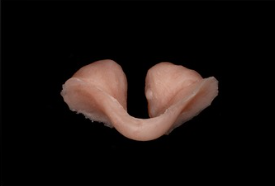 Nasal obturator