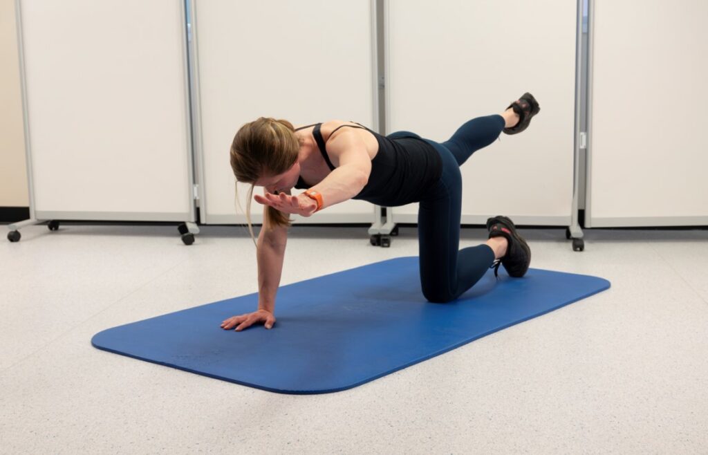 Starting in the 4 point kneeling position, on your hands and knees with your shoulders over your wrists, and your hips over your knees.