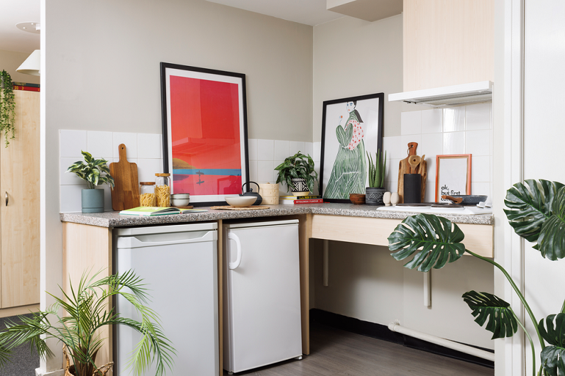 An image representing a small kitchen, which is part of the Tannery Student Accommodation.