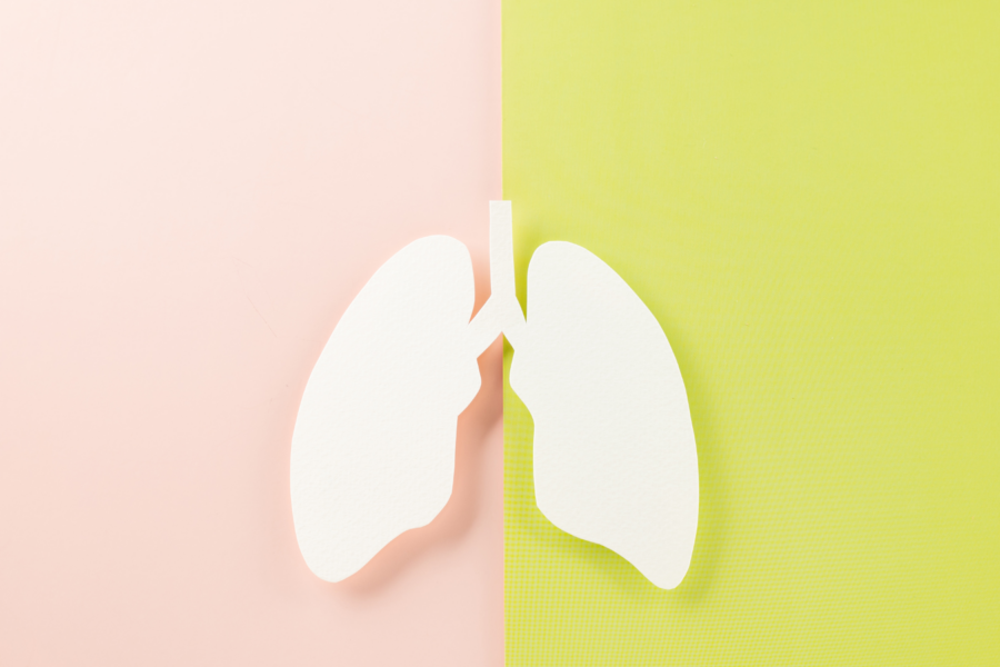 World Tuberculosis Day