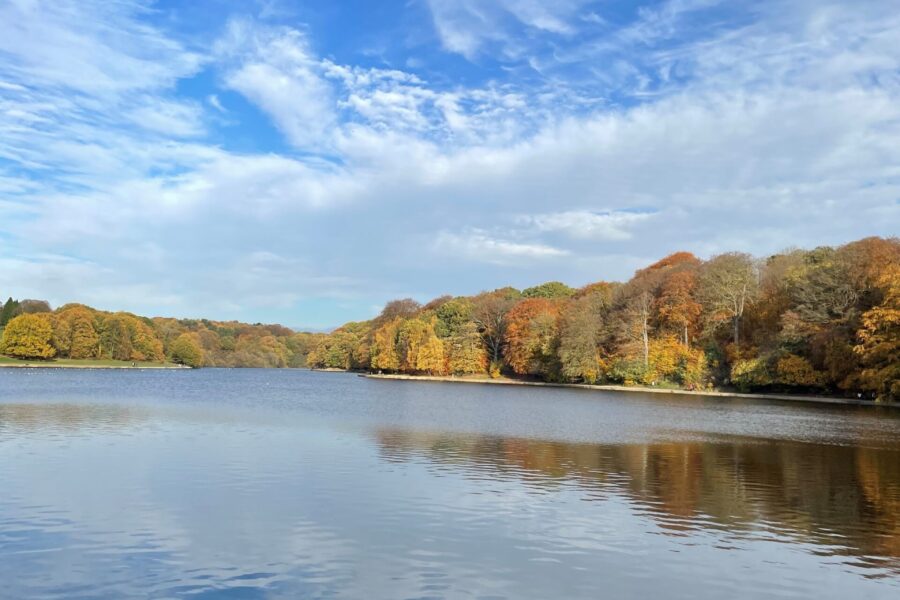 Roundhay Park lake with autumnal amber trees in the distance