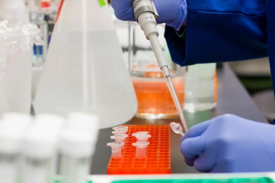 An image of a scientist's gloved hands in a lab using a pipette with samples.